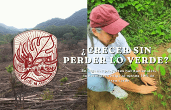 Gráfico sobre el impacto ambiental del desarrollo urbano, que contrasta un terreno montañoso deforestado con una mujer plantando un árbol, destacando la normativa del 50% de áreas verdes en proyectos habitacionales.