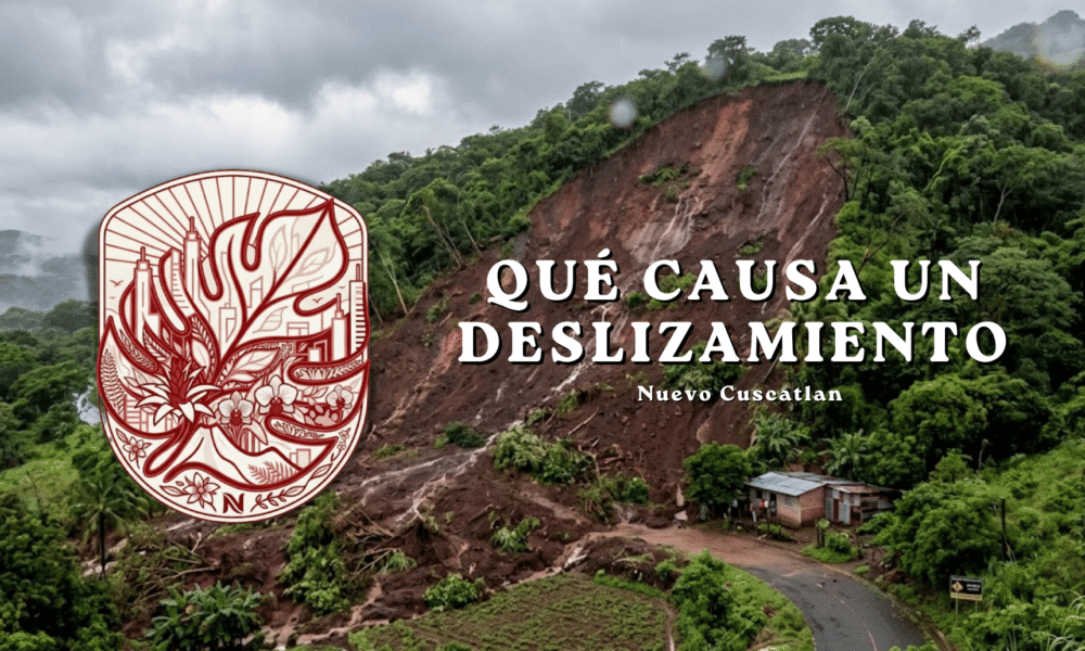 Ladera con evidencia de movimiento de tierra tras un periodo de lluvia